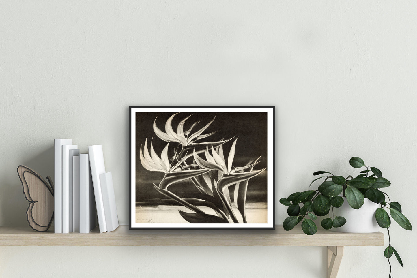 Strelitzia (Bird of Paradise) - Tretchikoff Print