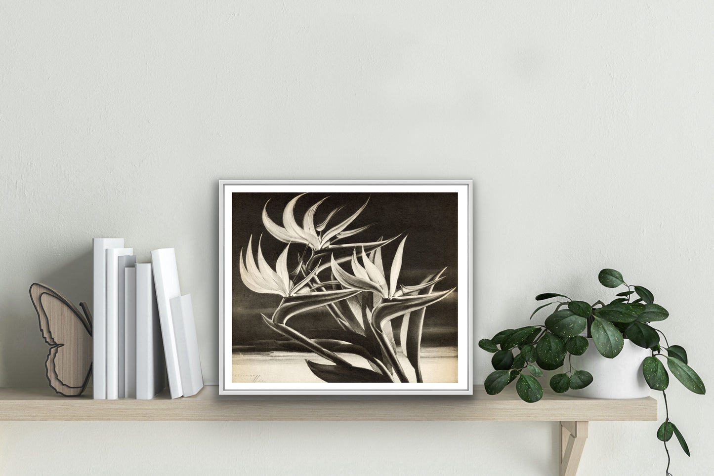 Strelitzia (Bird of Paradise) - Tretchikoff Print