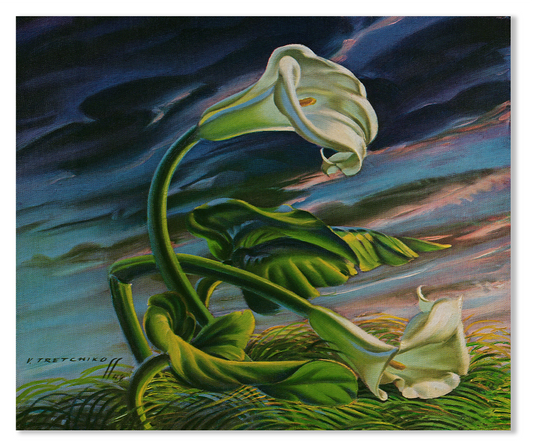 Winds of the Cape (1948) - Tretchikoff Print