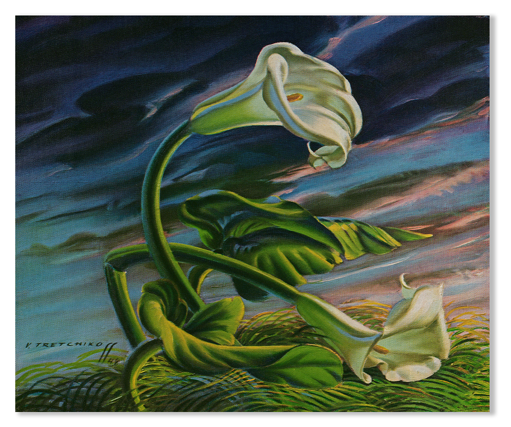 Winds of the Cape (1948) - Tretchikoff Print