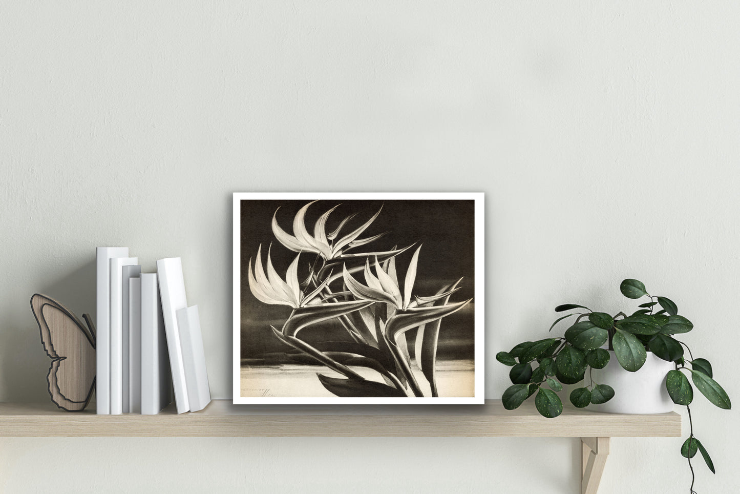 Strelitzia (Bird of Paradise) - Tretchikoff Print