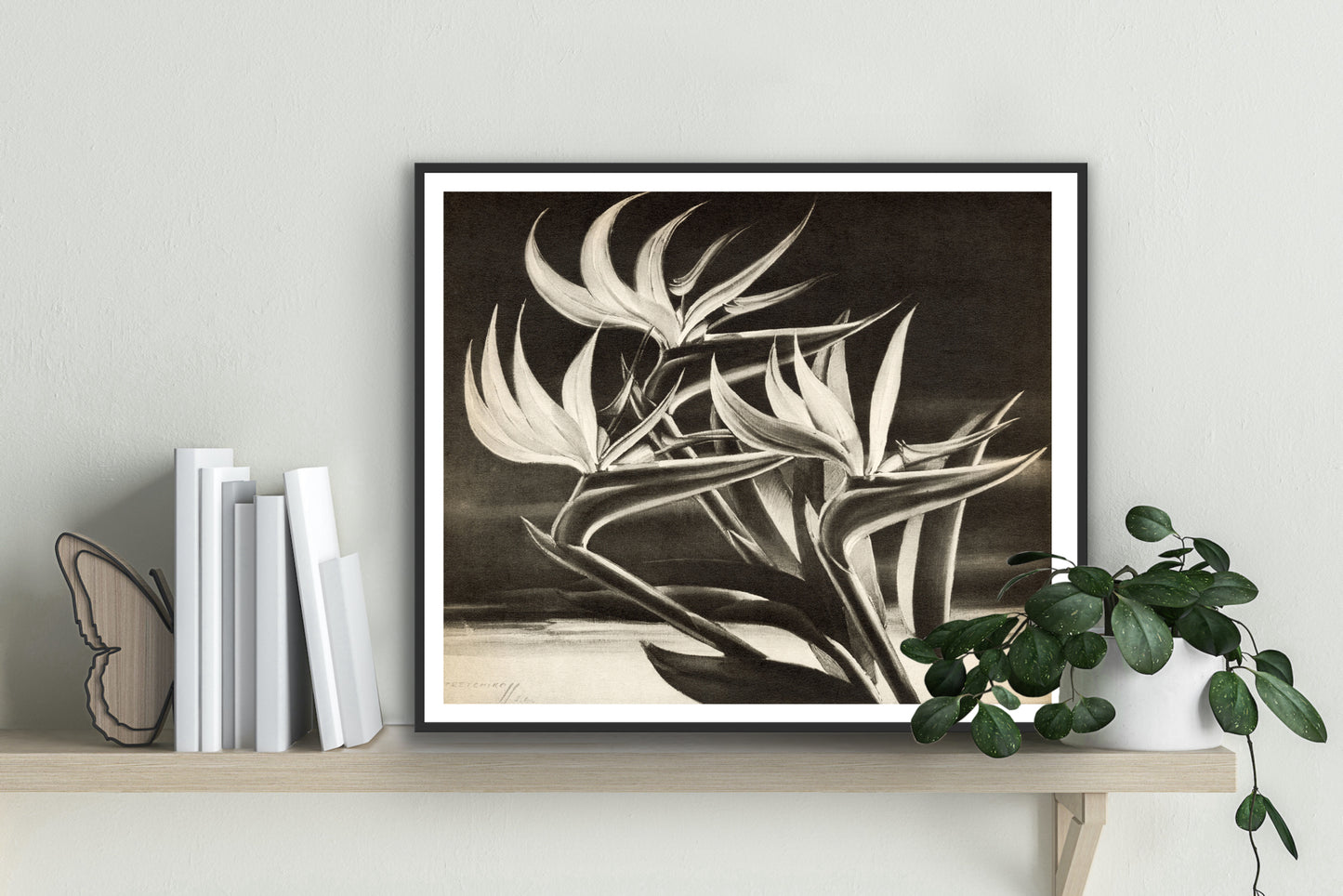 Strelitzia (Bird of Paradise) - Tretchikoff Print