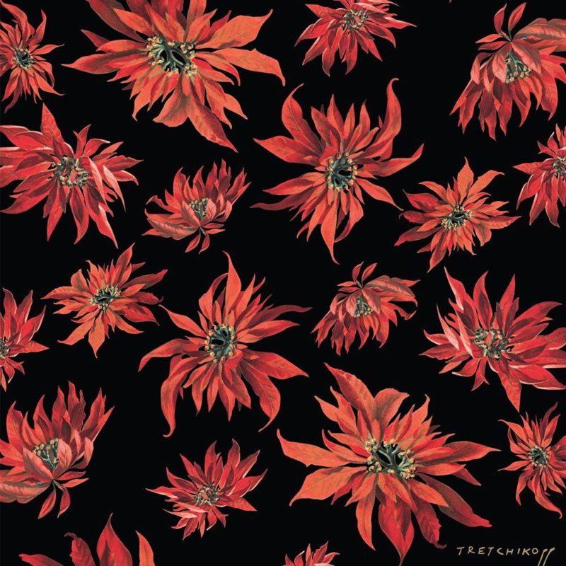 Poinsettia Black Wallpaper - Tretchikoff