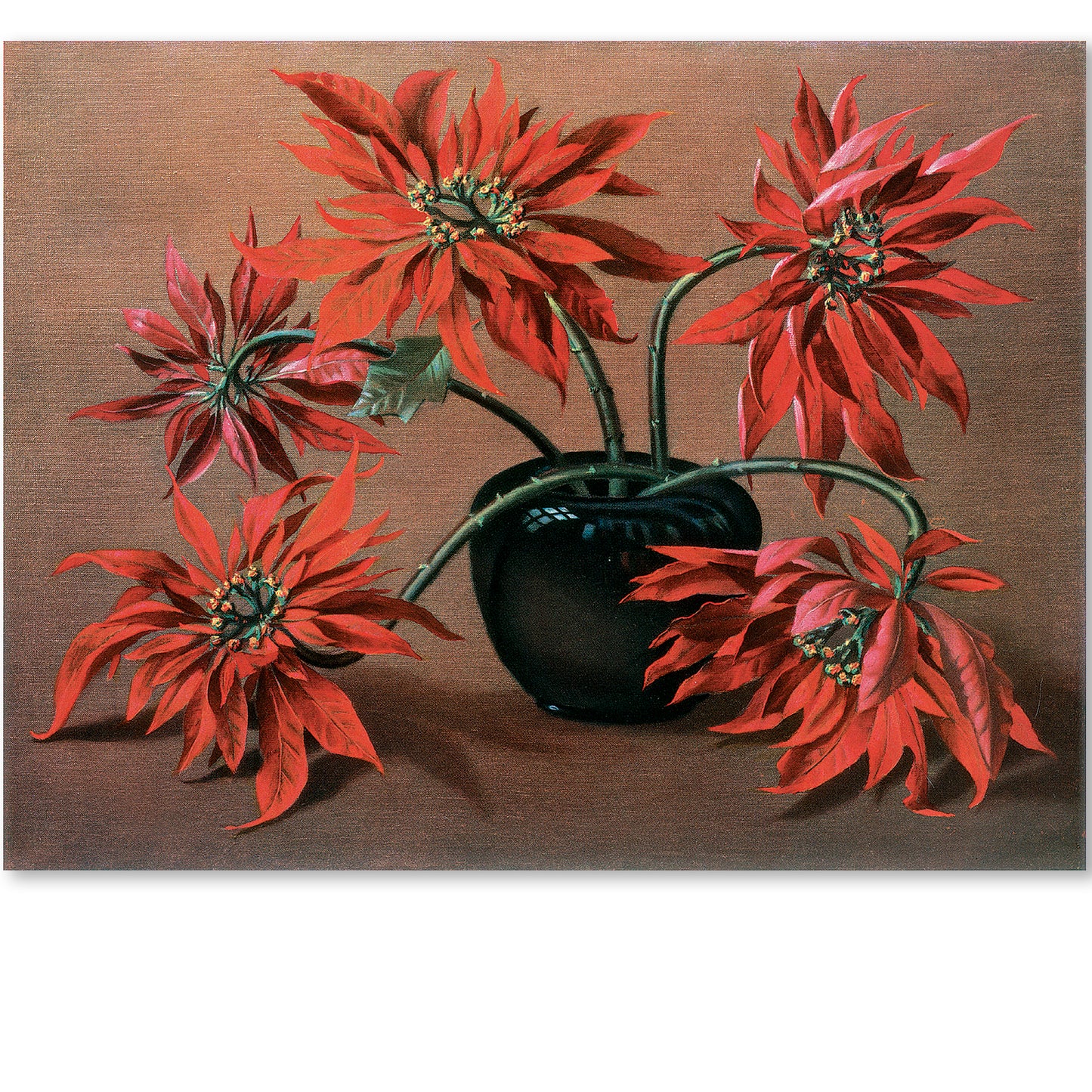 Poinsettias (1950) - Tretchikoff Print