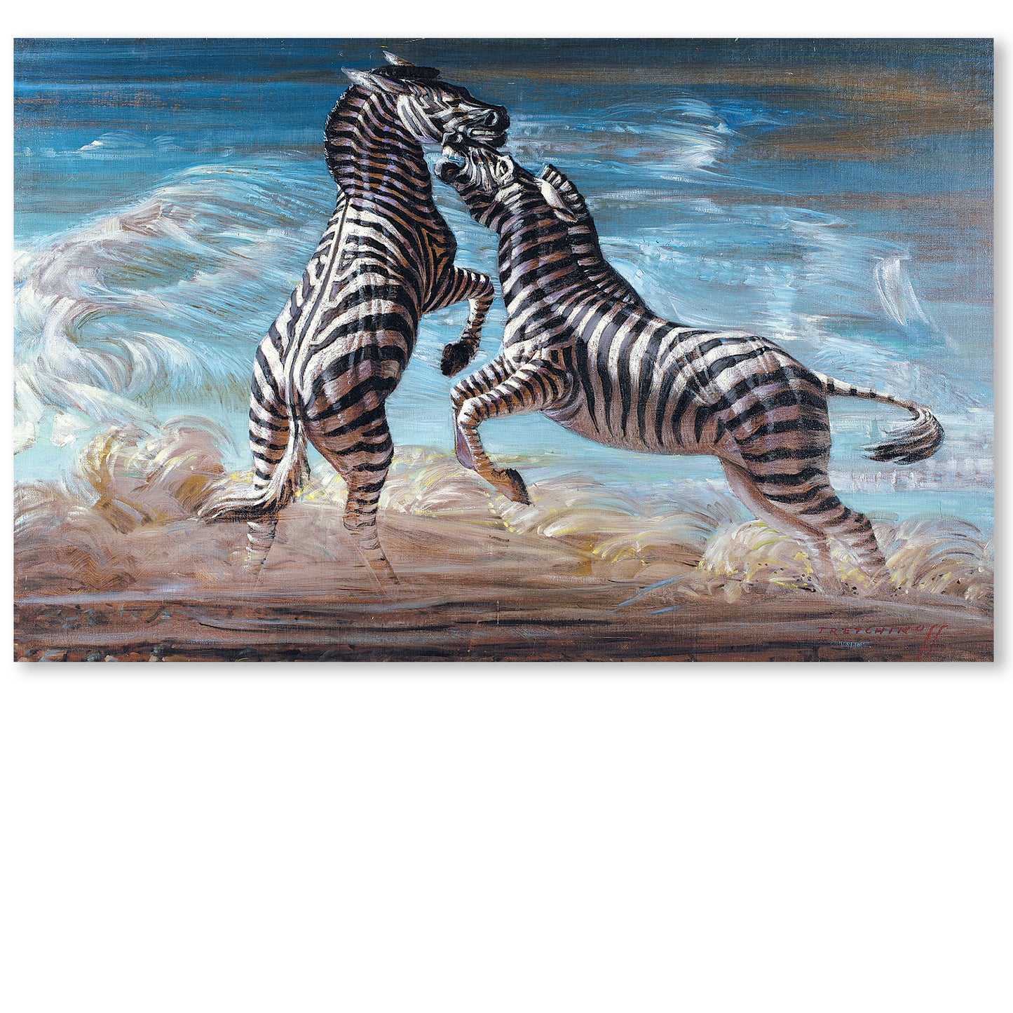 Fighting Zebras - Tretchikoff Print